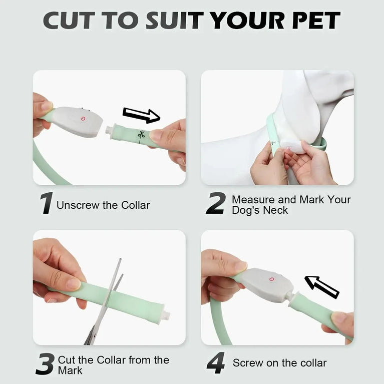USB Rechargeable LED Glowing Dog Collar 9 Flashing Modes Adjustable