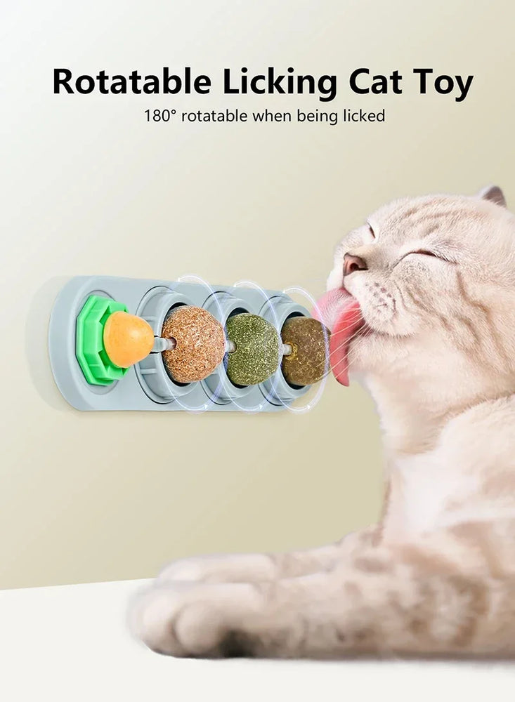 4 in 1 Rotating Catnip Silver Vine Ball Wall Stick Toy Kit