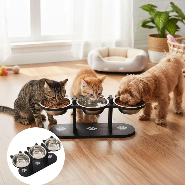 Adjustable 15° Elevated Cat Feeding Bowl with Wooden Support Stand