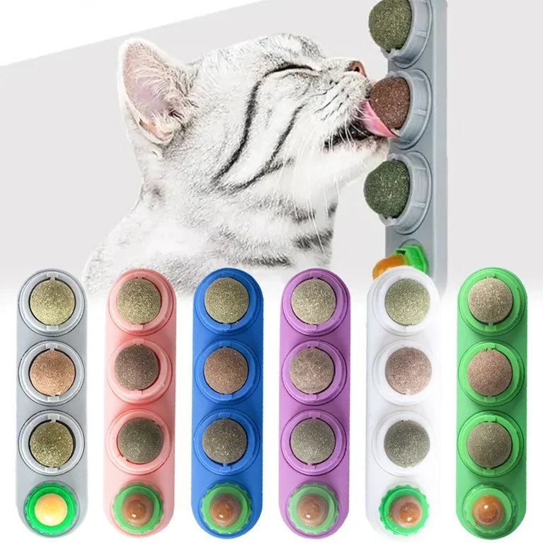 4 in 1 Rotating Catnip Silver Vine Ball Wall Stick Toy Kit