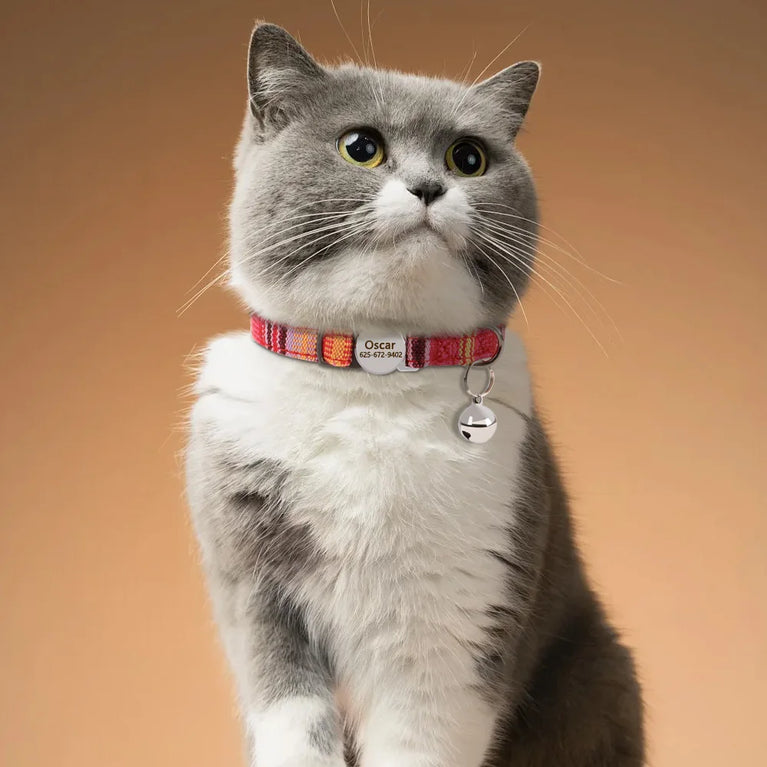 Cat Collar Free Personalized Kitten Collar Engraved Antilost Adjustabl
