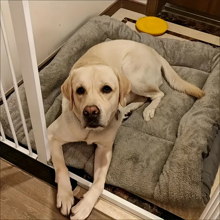 Extra Large Dog Bed Orthopedic Memory Foam Dog Bed Sofa Mat