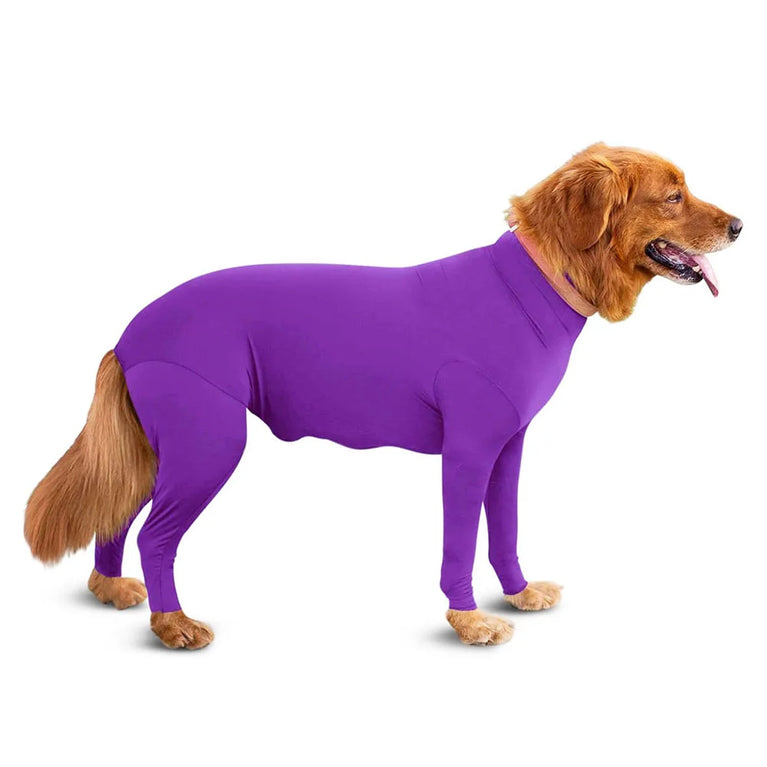 Solid Polyester Dog Accessory | Durable All-Weather Comfort