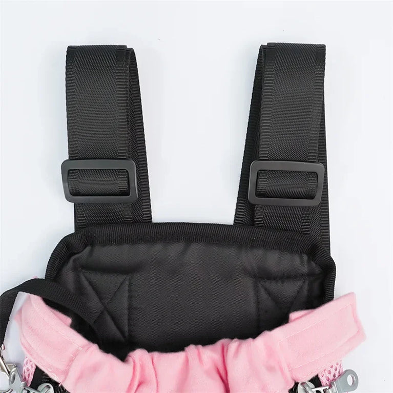 Portable Pet Mesh Backpack | Dual-Shoulder Outdoor Travel Carrier