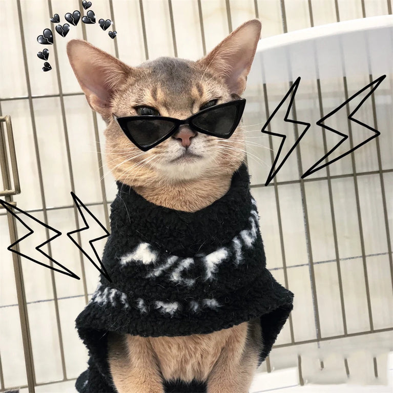 Sphynx Sunglasses | Windproof Pet Fashion Goggles