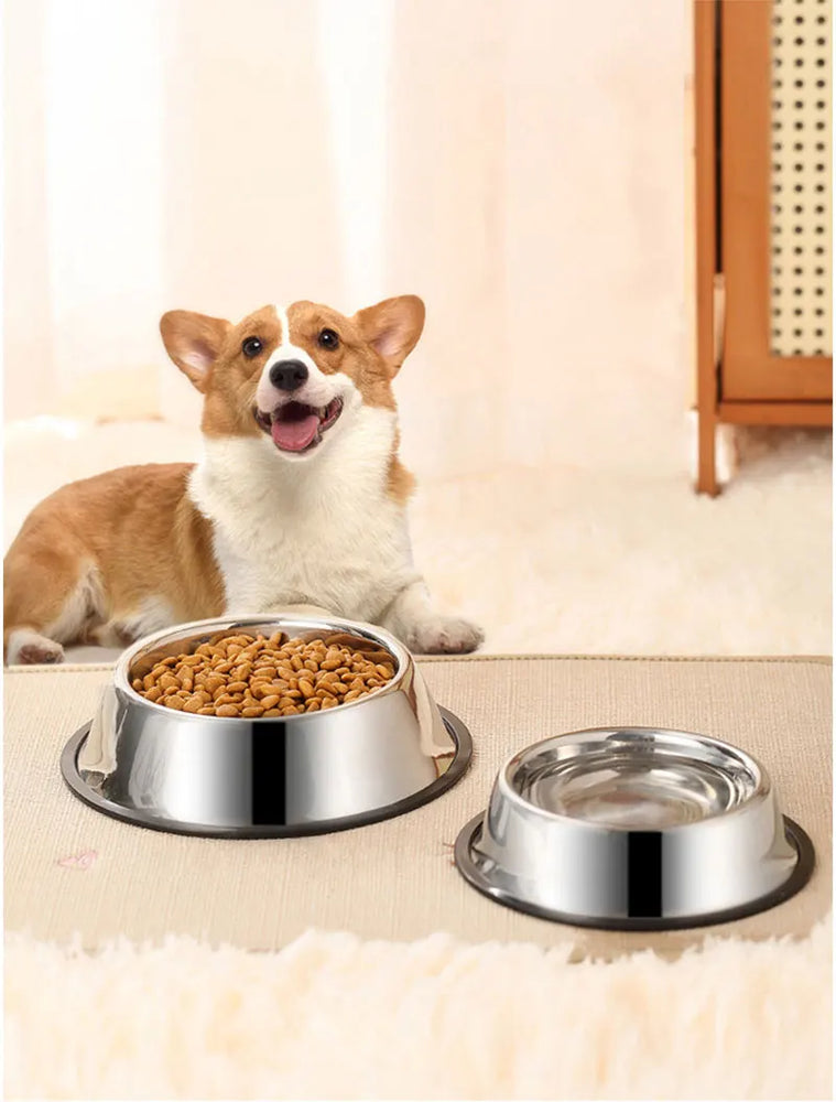 Anti-Slip Stainless Steel Dog Bowl | Anti-Tip & Anti-Ant Feeder
