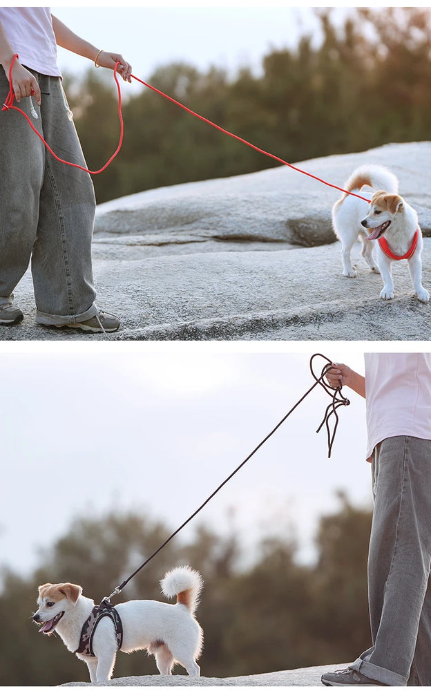 Adjustable Reflective Dog Harness Leash Set Step-In Soft Air Mesh Vest