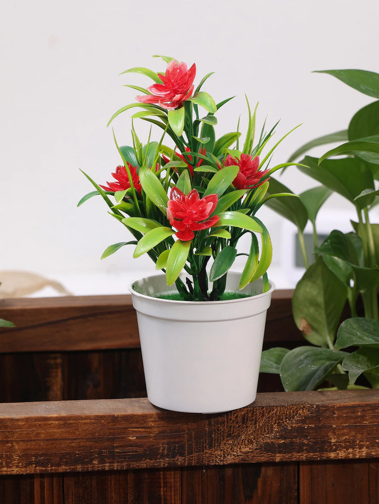 5-Head Miniature Lotus Simulation Bonsai | Creative Desktop Floral Decoration