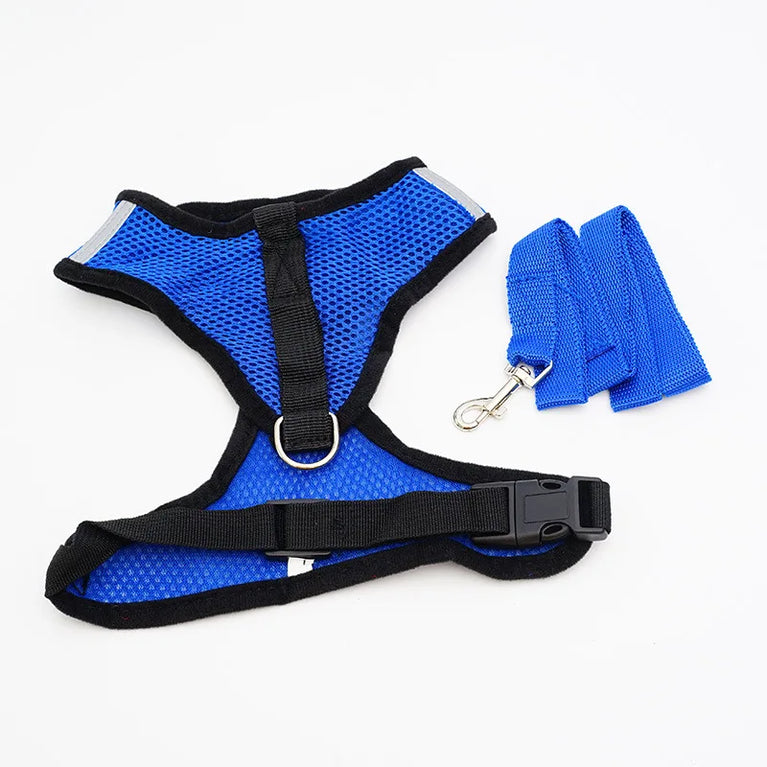 Breathable Mesh Cat Small Dog Harness And Leash Kitten Puppy Adjustable Vest Set