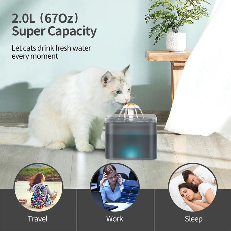 2L Cat Water Fountain LED Filter Pet Drinking Dispenser Bowl