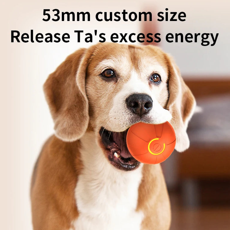 Smart Interactive Dog Toy Ball | Automatic Bouncing Rolling Toy