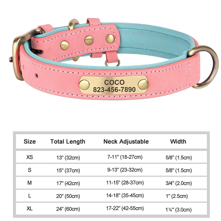 Personalized Leather Dog Collar | Padded ID Nameplate Collar