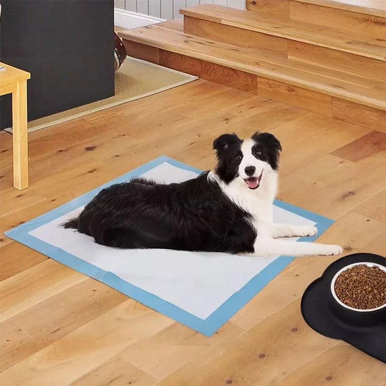 Super Absorbent Pet Diaper Dog Training Pee Pads Quick-dry Mat