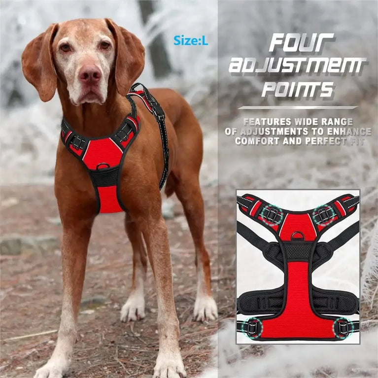 Dog Collars Harness Vest Leash Set for Small Medium Dogs Puppy Pet Set Leather Set