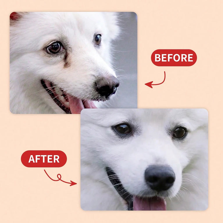 Tear Stain Cleaner for Dogs and Cats Gentle Formula Brush