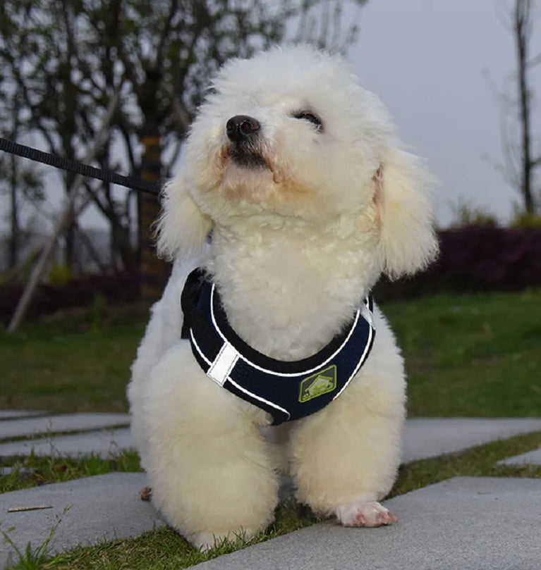 Reflective Breathable Mesh Puppy Dog Harness And Leash Set No Pull Vest