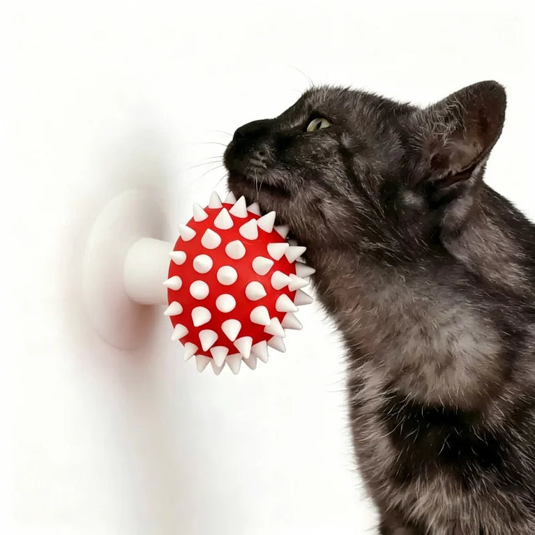Cat Grooming Brush Mushroom Wall Scratcher Self Groomer Comb Tool