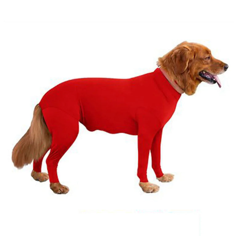 Solid Polyester Dog Accessory | Durable All-Weather Comfort