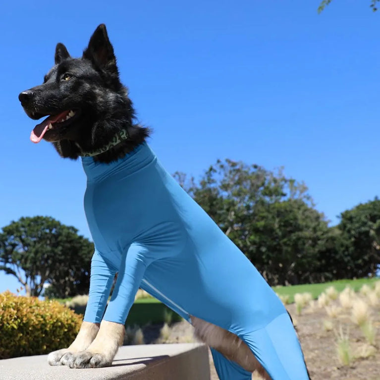Solid Polyester Dog Accessory | Durable All-Weather Comfort