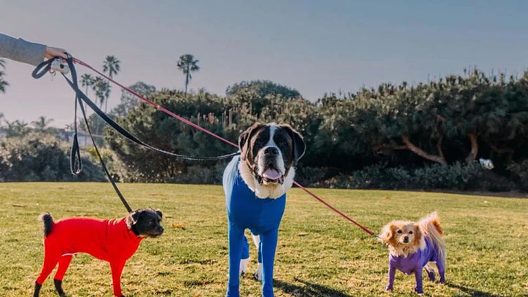 Solid Polyester Dog Accessory | Durable All-Weather Comfort