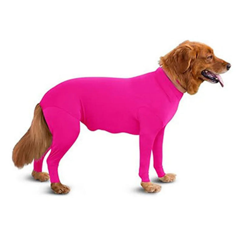 Solid Polyester Dog Accessory | Durable All-Weather Comfort