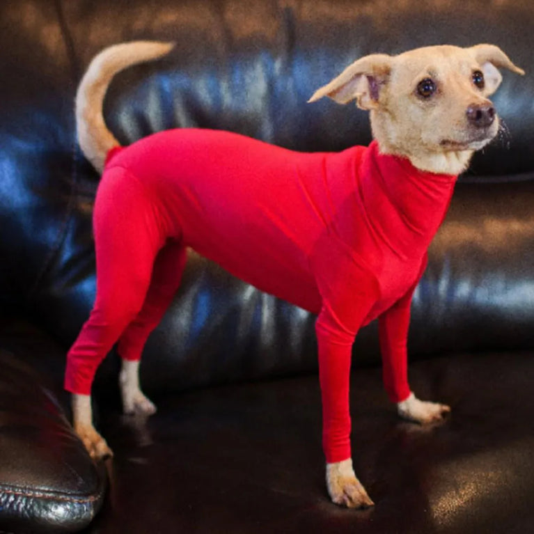 Solid Polyester Dog Accessory | Durable All-Weather Comfort
