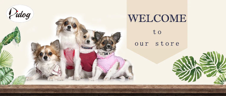 Mesh Breathable Reflective Nylon Dog Harness Adjustable Training Vest For Dogs