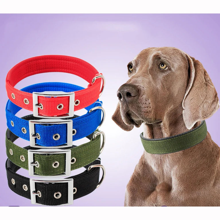 Solid Dog Collars Nylon Dog Collar For Small Medium Large Dogs Teddy