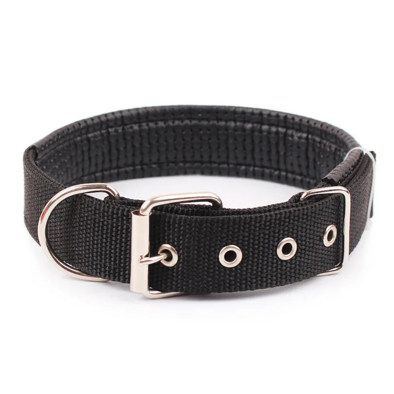 Solid Dog Collars Nylon Dog Collar For Small Medium Large Dogs Teddy