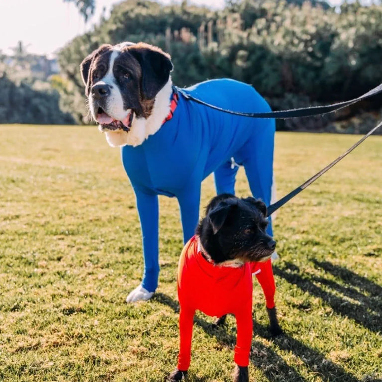 Solid Polyester Dog Accessory | Durable All-Weather Comfort