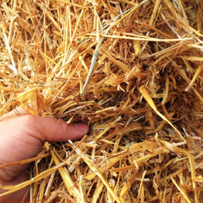 100PCS Disposable Wheat Straw Eco-Friendly Natural Drinking Straws