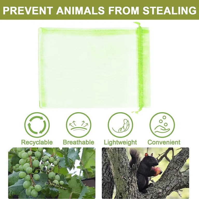 Fruit Protection Netting Bags | Reusable Organza Mesh for Pest & Bird Control