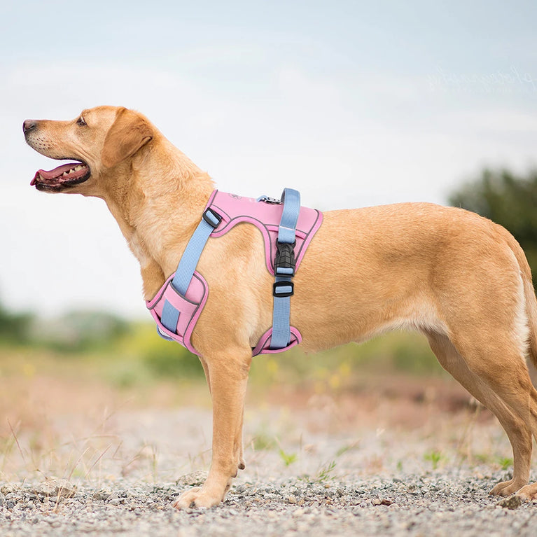 Mesh Breathable Reflective Nylon Dog Harness Adjustable Training Vest For Dogs