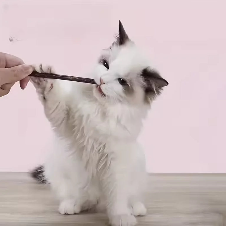 Cat Snack Polygonum Natural Wood Chew Stick Cat Teeth Cleaning Toy Set