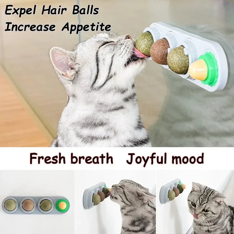 4 in 1 Rotating Catnip Silver Vine Ball Wall Stick Toy Kit