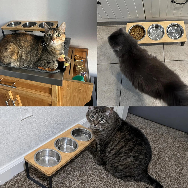 15° Tilted Raised Cat Bowls with 3 Steel Anti Vomiting Feeder