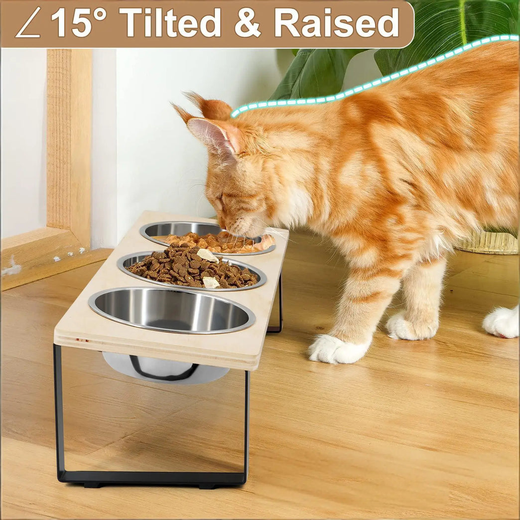 15° Tilted Raised Cat Feeding Station with 3 Steel Bowls Set