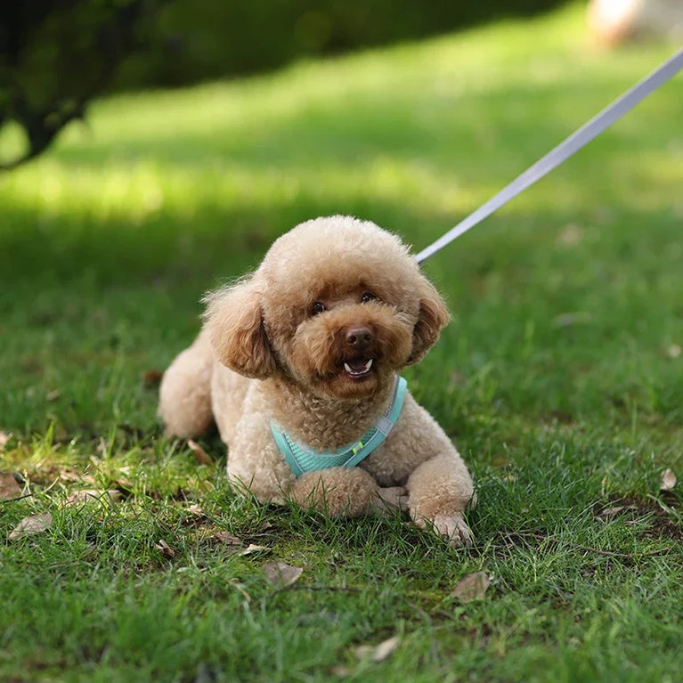 Puppy Dog Harness Set Reflective Adjustable Small Pet Vest With Leash