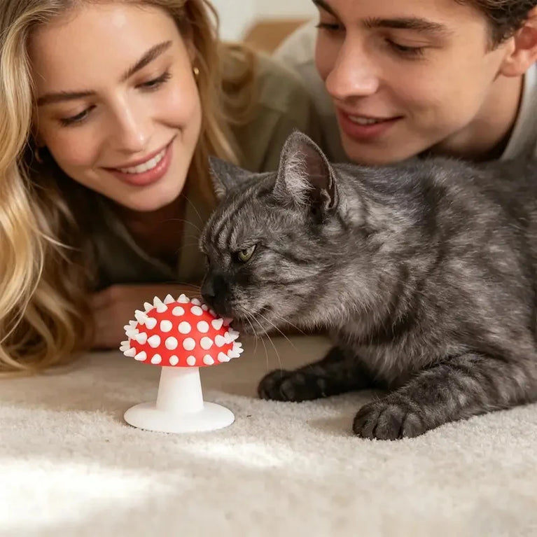 Cat Grooming Brush Mushroom Wall Scratcher Self Groomer Comb Tool