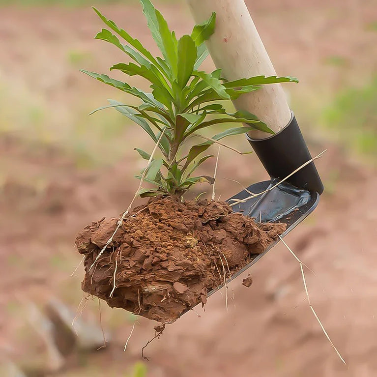 Manganese Steel Small Hoe | Precision Agricultural & Gardening Tool
