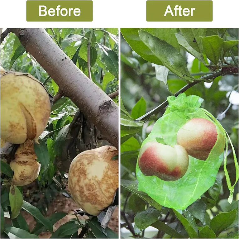 Fruit Protection Netting Bags | Reusable Organza Mesh for Pest & Bird Control