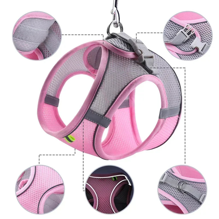 Dog Harness Leash Set Small Dogs Chihuahua Frenchie No Pull Vest