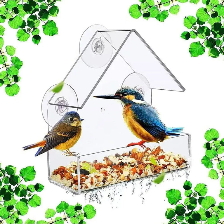 Clear Acrylic Window Bird Feeder | Transparent Wall-Mounted Wildlife Station