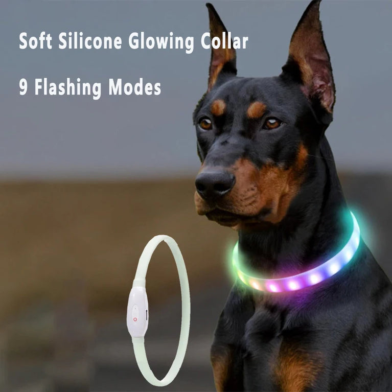USB Rechargeable LED Glowing Dog Collar 9 Flashing Modes Adjustable