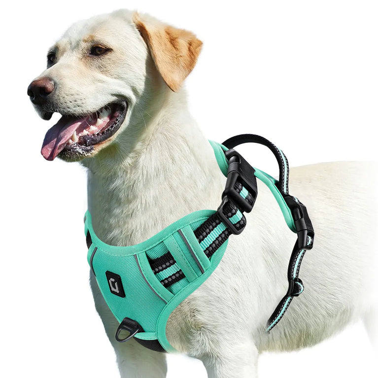 No Pull Adjustable Soft Padded Dog Harness Vest With Control Handle