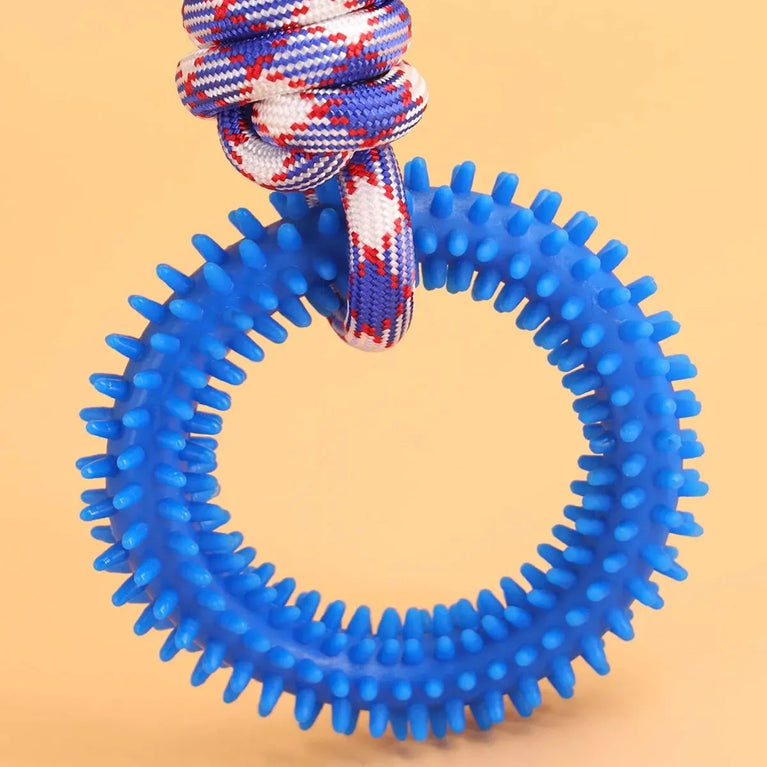 Interactive Training Pet Toy Ring Spiked Dog Chew Teeth Cleaning