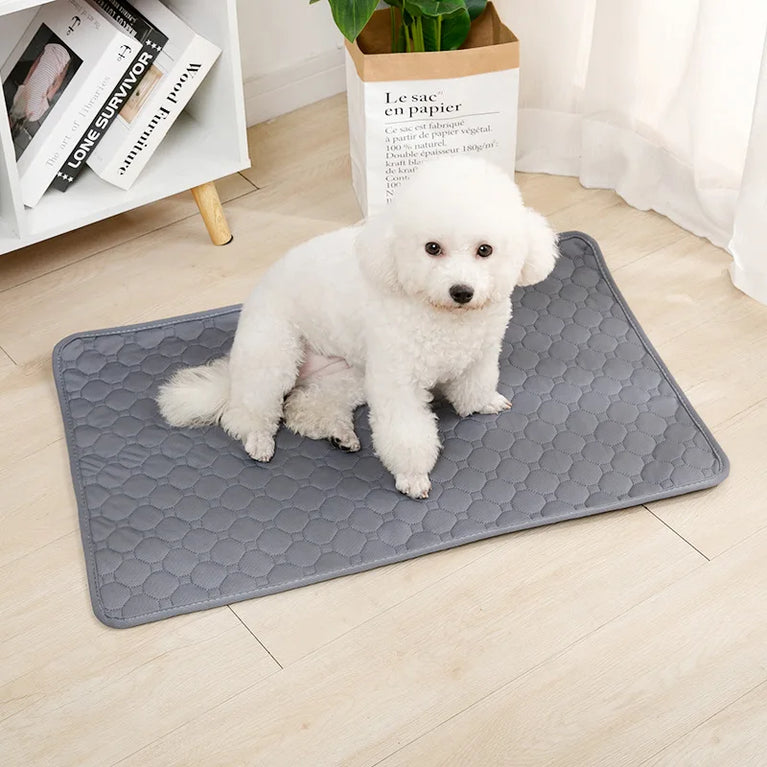 Washable Reusable Dog Pee Pad | 4-Layer Ultra Absorbent Mat