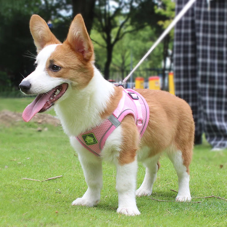 Reflective Breathable Mesh Puppy Dog Harness And Leash Set No Pull Vest