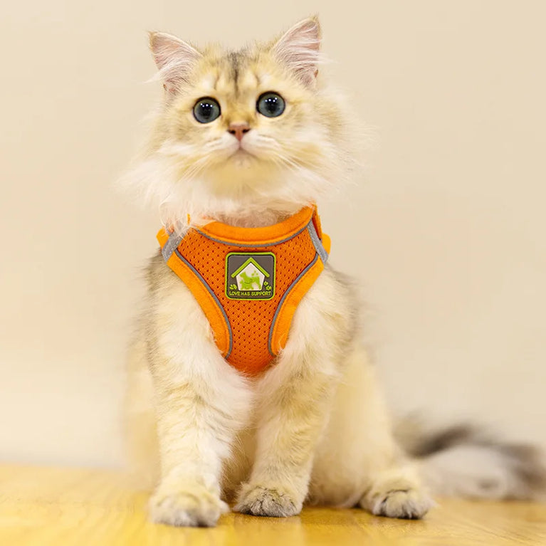 Reflective Breathable Mesh Puppy Dog Harness And Leash Set No Pull Vest