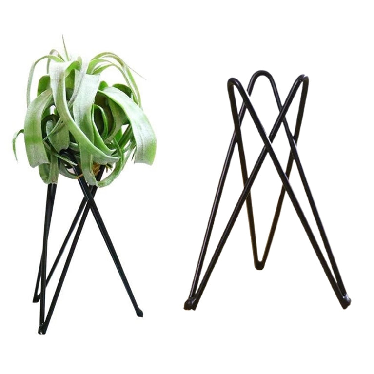Style Geometric Air Plant Holder | Minimalist Iron Tillandsia Display Stand